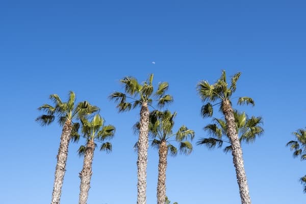 Laguna Treatment Center photo