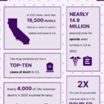 CA overdose infographic