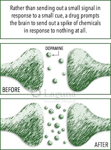 brain and dopamine