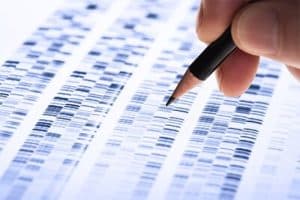 relationship of dna with addiction medicine